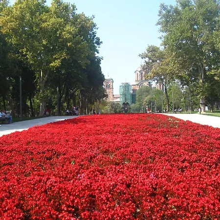 Tash 3* Belgrad