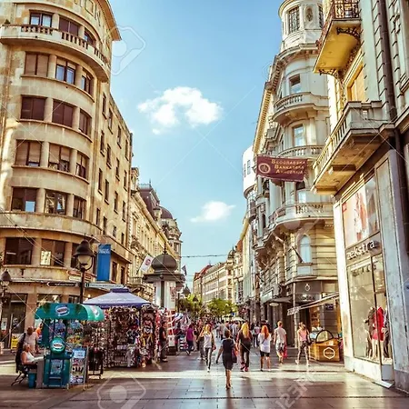 Tash Belgrad